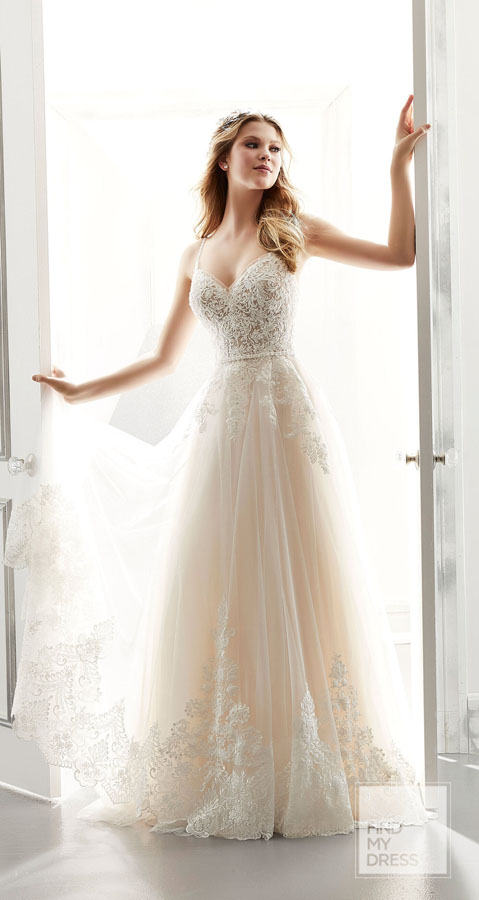 Morilee Spring 2021 - Find My Dress